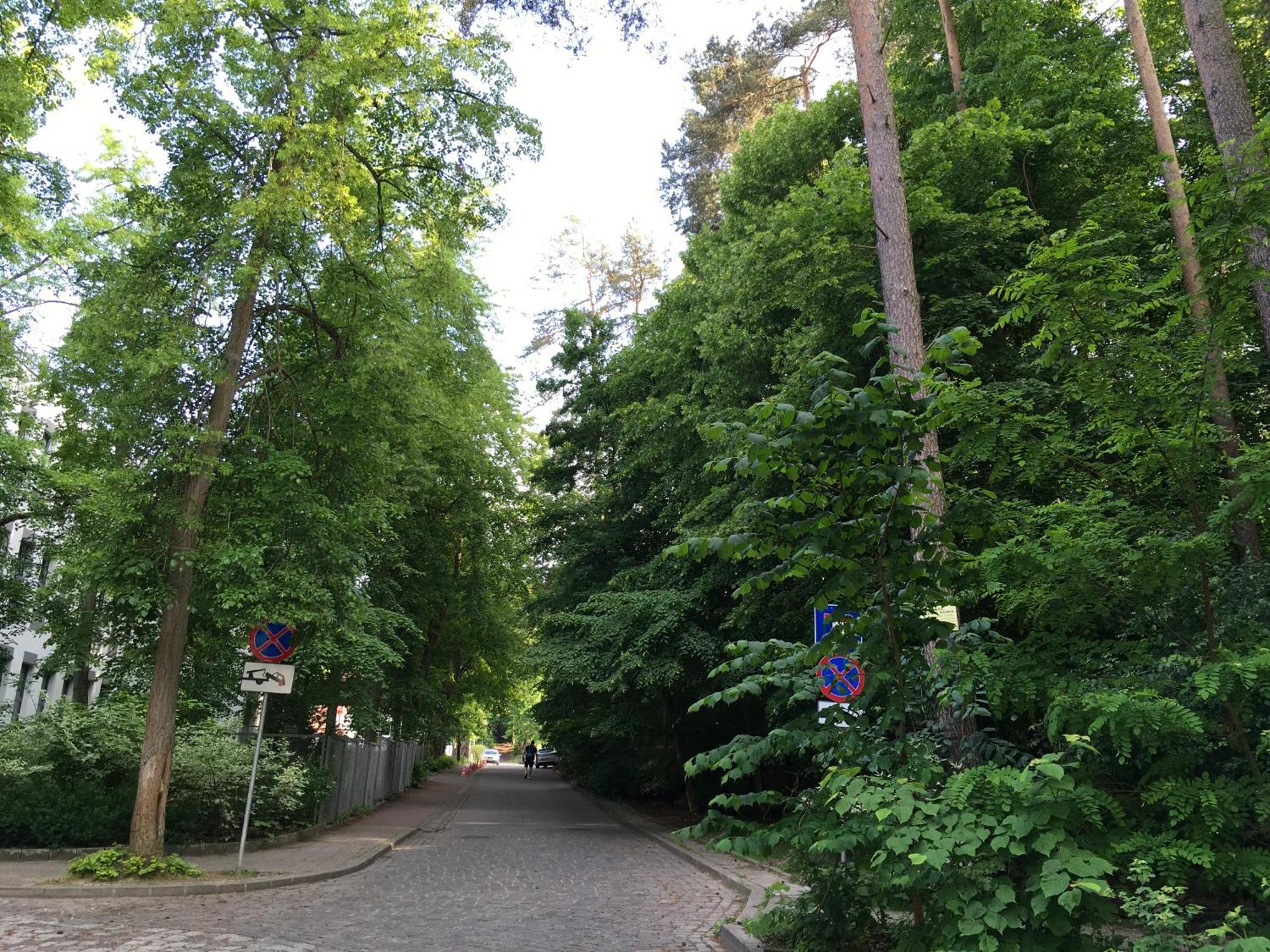 Przytulny Apartament Blisko Lasu Z Szybkim Wi-Fi โซพอต ภายนอก รูปภาพ